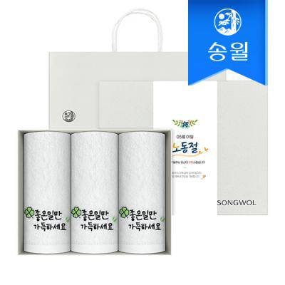 [송월타올] 노동절 근로자의 날 기념선물 좋은일클로버 3매 선물세트(쇼핑백) 기념수건 답례품